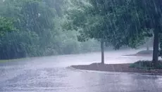 Orages et pluies dans plusieurs régions: l’ANACIM alerte, voici comment signaler les zones touchées