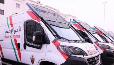 Faux documents de visas Schengen : 9 individus arrêtés à Nador et Guercif