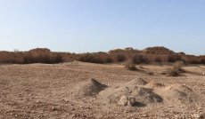 Sidi Bennour : lancement de fouilles archéologiques sur l’ancienne cité de Mouchtraya