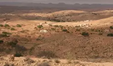 Vers le renforcement de la coopération entre la Tunisie et l'ACSAD