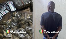 Kédougou : Un trafiquant interpellé avec du Tramadol et du Kush