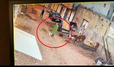 « Elle a voulu jeter son bébé » : Une dame filmée en flagrant délit, des images choquantes (vidéo)