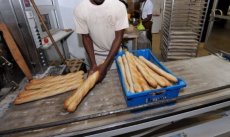 Marché du blé : Le corridor USA-Sénégal réouvert, une seule condition fixée pour une baisse du prix du pain