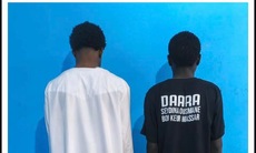 L’élève de 14, son copain, les 3 jours dans un appartement meublé : Ce que l’on sait de l’affaire de Jaxaay