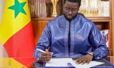 Alioune Badara Mboup : « Le seul débat qui nous intéresse est l’organisation des élections locales à date échue »