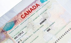Arnaques aux visas : le Canada met en garde les demandeurs algériens