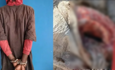 Parcelles Assainies : Un chauffeur surpris en train de dépecer un cadavre de mouton pour…