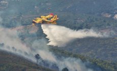 Le feu de forêt de Aïn Lahcen près de Tétouan maîtrisé