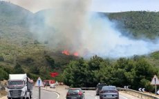 Aïn Lahcen (Tétouan) : Un violent incendie de forêt mobilise un dispositif terrestre et aérien d’envergure