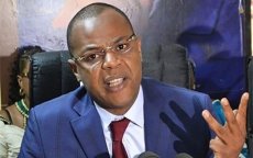 Mame Mbaye Niang, Mamour Diallo, Doudou Ka… : Au coeur de la stratégie politique des « exilés »