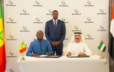 Sénégal–Émirats : DP World prend en charge les infrastructures du port de Ndayane