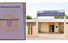 Sécurité routière : 35 000 FCFA pour un faux permis guinéen, quatre personnes sous les verrous à Tambacounda