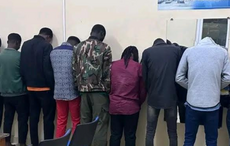 Mbour : Un réseau de trafic de crack et de chanvre démantelé par la gendarmerie de Saly, sept interpellés