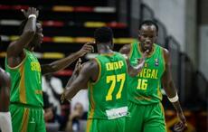 Basket : les Lions affrontent l’Égypte jeudi à 18h30 à Dakar Arena