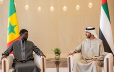 Faye et Mohammed bin Zayed préparent un partenariat économique dans trois secteurs clés