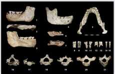 Maroc : découverte majeure, des fossiles humains de 773 000 ans réécrivent l'histoire de l'humanité