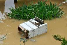 Intempéries : jusqu’à 80% des colonies d'abeilles décimées à Ouazzane, l'apiculture en crise