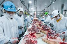 Agroalimentaire : l’Algérie met en place un nouveau pôle industriel dans cette wilaya