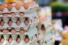 Jusqu’à 700 DA le plateau : Voici pourquoi les prix des œufs flambent en Algérie