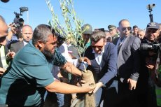Mission accomplie : le succès phénoménal du défi « un million d’arbres » pour une Algérie verte