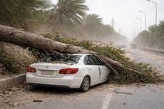 Alerte de rafales à 120 km/h maintenue en Algérie : quelles instructions pour les automobilistes ?