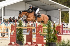 Des cavaliers algériens bloqués au Qatar faute d’autorisation ministérielle