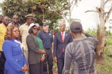 Les ministres l'Agriculture, Pêche et Eaux et Forets invités par OLAM à Kango