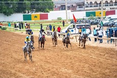 Grand Prix du Chef de l’État : Kii Kan La, monté par Fallou Diop, s’impose à Thiès