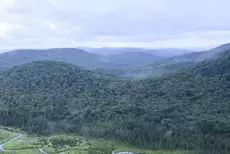 USA: près de 18 millions d’hectares de forêts menacés par une réforme