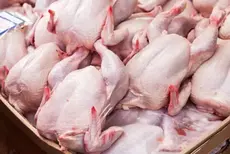 poulet : Le ministère du Commerce fixe le prix maximal de vente
