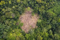 Conférence régionale sur la criminalité environnementale et le conflit homme-faune : une mobilisation stratégique à (…)