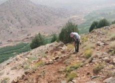 Marche de la dignité à Aït Bouguemez : Akhannouch renvoie la balle aux élus locaux