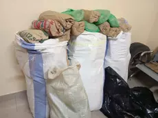 Saisie de 108 kg de chanvre indien à Mballing : Les trafiquants en fuite