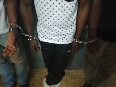 Trois individus interpellés avec dix défenses d'ivoire d'éléphants à Franceville