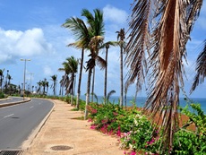 Corniche Ouest : la mairie de Dakar condamne le « coup de force » de l’Agetip
