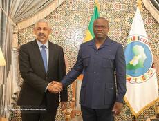 Le Chef de l'État reçoit le Président du Groupe de la Banque Africaine de Développement