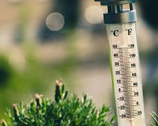 Alerte canicule : vague de chaleur extrême en Algérie dès ce lundi 9 juin, jusqu’à 44 °C attendus