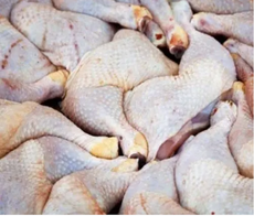 Alerte maximale sur de la viande de volaille contaminée à la Salmonelle importée de Pologne en RDC