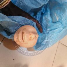 Affaire des homosexuels présumés : Voici les objets saisis lors des perquisitions (photos)