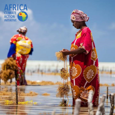 L'Africa climate action initiative et les ONG membres partenaires lancent des réunions de sensibilisation avec les (...)
