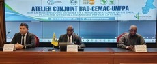 Clôture de l'atelier conjoint Bad-Cemac-Unfpa sur le Sdmx et la Plateforme Open Data 2.05