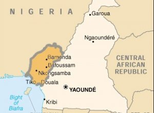 COOPERATION CAMEROUN – USA. Sale temps pour le président Biya et risque de partition du Cameroun